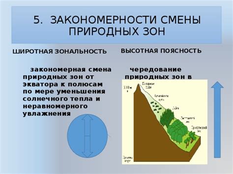 Прогнозирование и преодоление смены природных зон