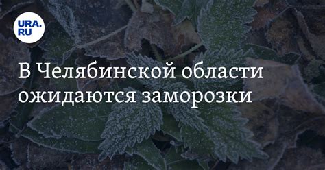 Прогноз заморозков