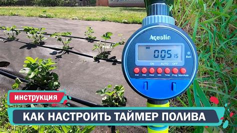 Программирование таймера полива: как создать оптимальное расписание
