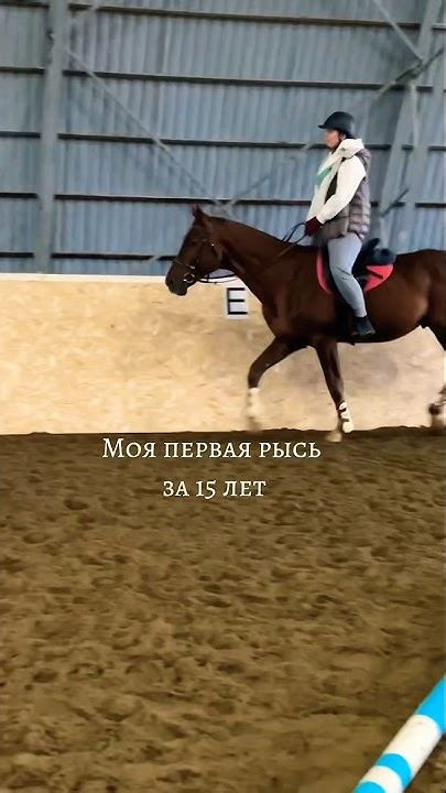 Прогрессивное возвращение к верховой езде после родов