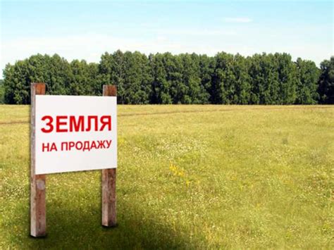 Продажа доли земли без межевания: плюсы и минусы
