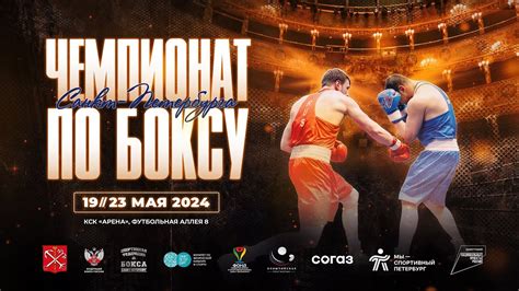 Продвижение и трансляция чемпионата