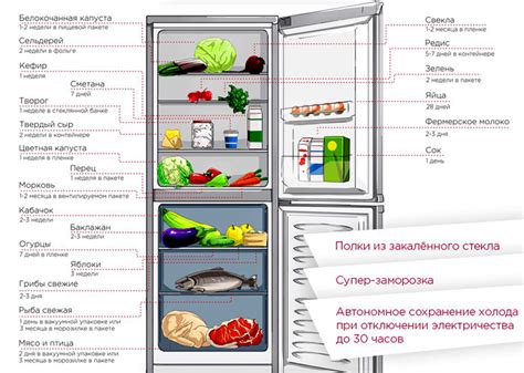 Продление срока хранения орехов в холодильнике