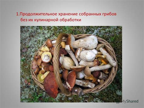 Продолжительное хранение