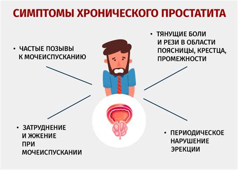 Продолжительность и частота массажа простаты