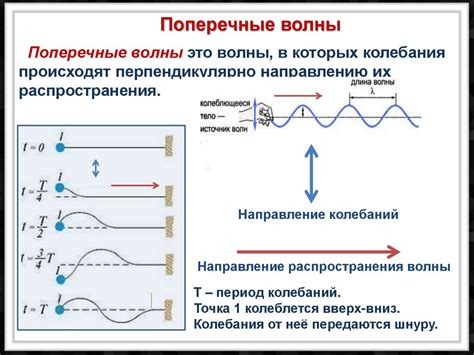 Продольные волны: их характеристики и основные признаки