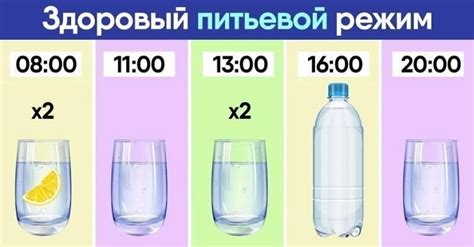 Продукты питания и питьевой режим