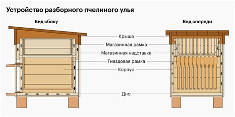 Проектирование улья