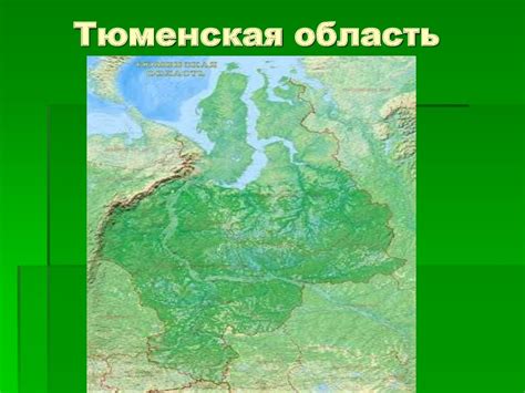 Проекты заповедников Тюменской области