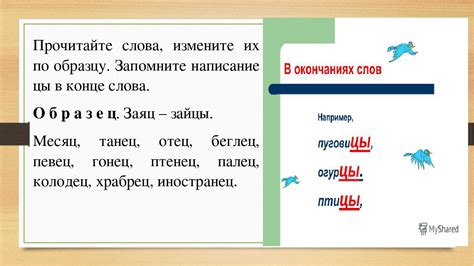 Произношение и написание