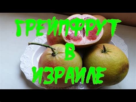 Произношение слова "грейпфрут"