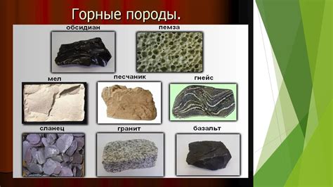 Происхождение породы