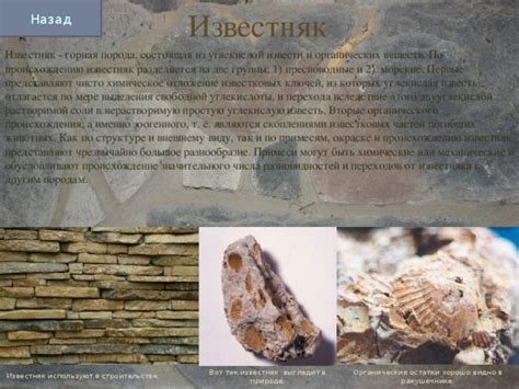Происхождение пристрастия к извести