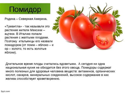 Происхождение слова "помидор"