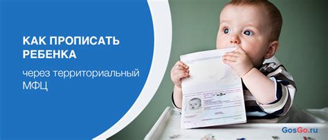 Прописка ребенка через МФЦ: секреты быстрого оформления