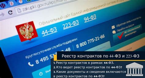 Просмотр документов и контрактов