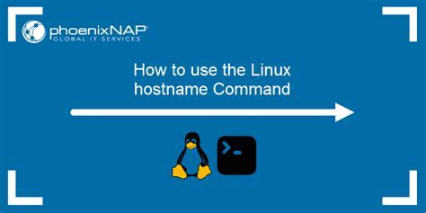 Простые шаги для определения Hostname на Linux
