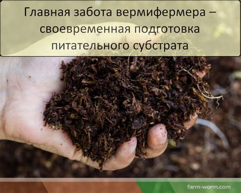 Профессиональные средства борьбы с дождевыми червями