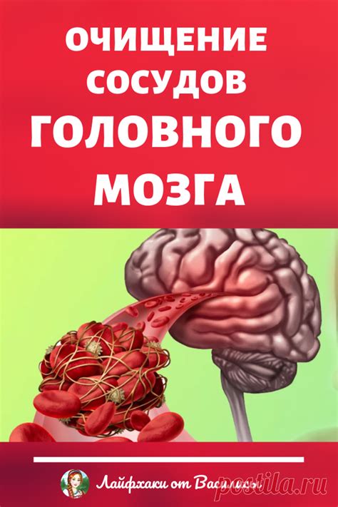 Профилактика и улучшение сосудов