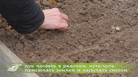 Профилактика и уход за землей после очистки