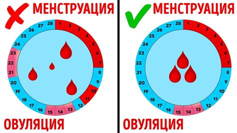Процедура ботокса и циклы месячных: что нужно знать