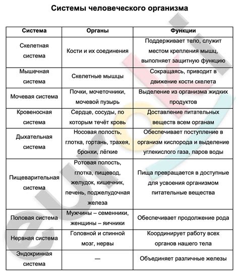 Процессы в женском организме и их влияние на религиозную практику