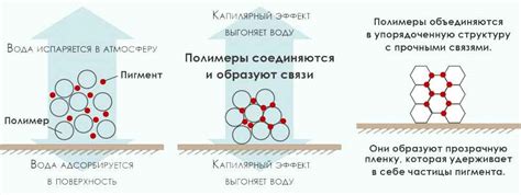 Процесс высыхания краски