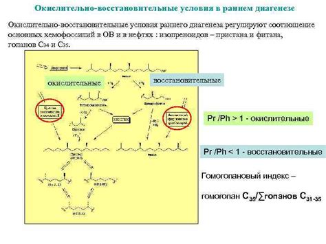 Процесс диагенеза и замещения: