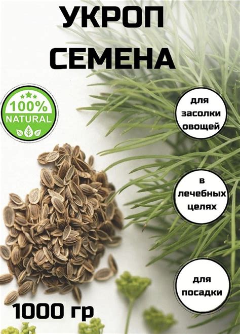Процесс заваривания: правила и рецепты
