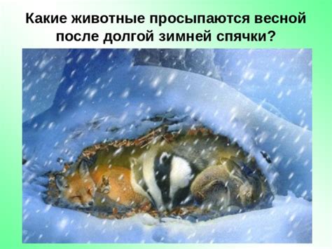 Процесс зимней спячки