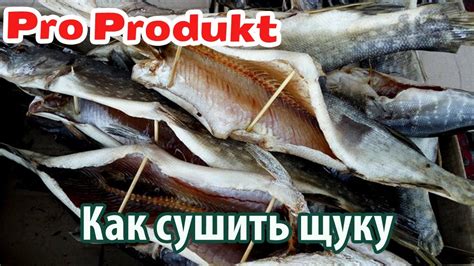 Процесс обработки щуки