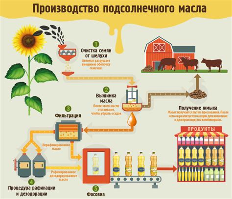 Процесс рафинирования кокосового масла