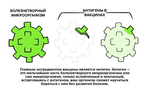 Процесс создания уиллозавра