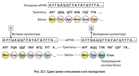 Процесс считывания кода иммобилайзера