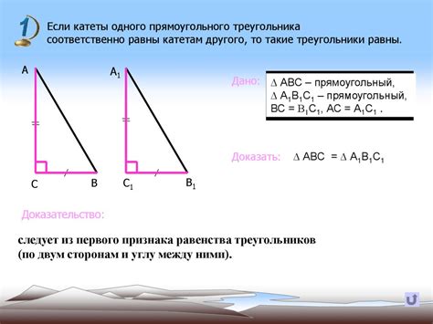 Прямоугольный треугольник: построение и особенности