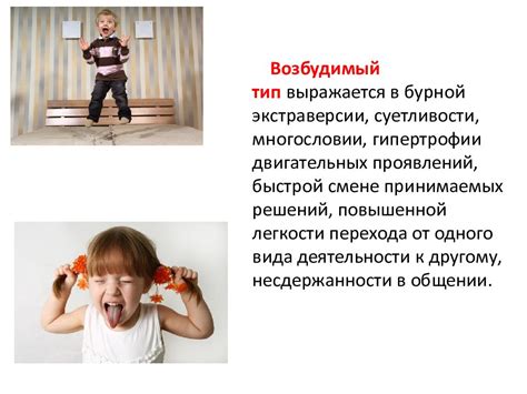 Психологические аспекты поведения кошек
