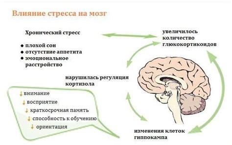 Психологические аспекты повторения сновидений