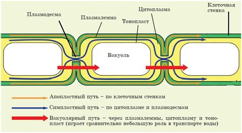 Пути передвижения пыли в атмосфере