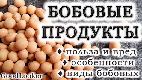 Пшенный: значение в рационе и полезные свойства