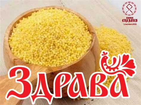 Пшенный: рецепты приготовления и использование в кулинарии