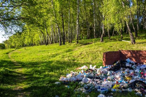 Пыль и мусор в механизме