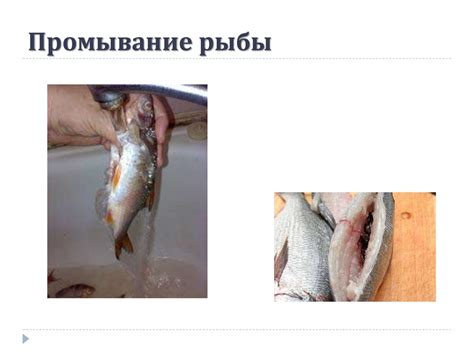 Пятый способ: промывание рыбы холодной водой
