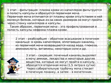 Пятый этап: фильтрация