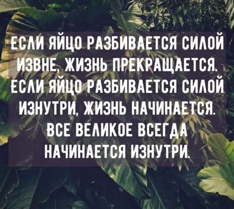 Работайте над доверием и открытостью