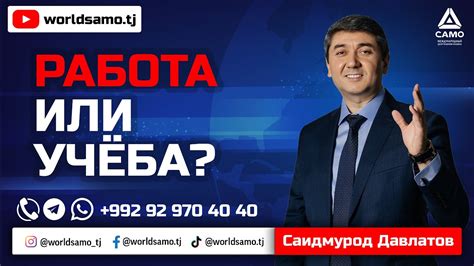 Работа или учеба