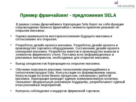 Работа с подробным объяснением схемы франчайзинга
