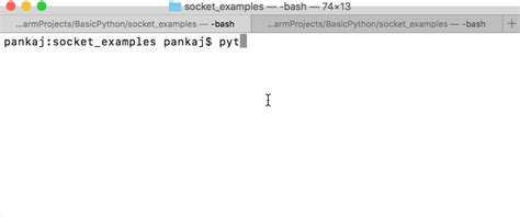Работа с сокетами в Python