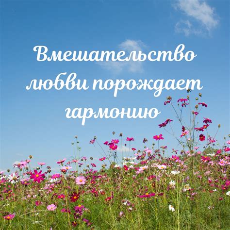 Радость, которую приносит любовь