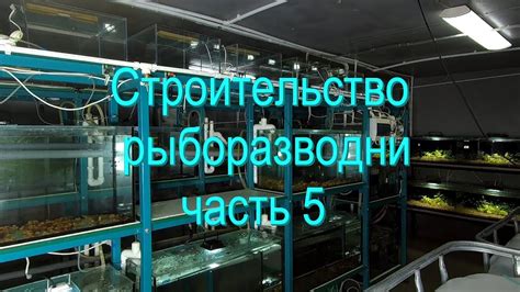 Разведение зелий для дальнейшей очистки