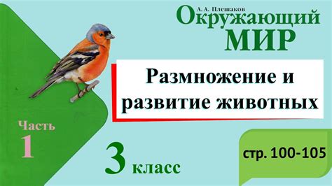 Разведение и размножение мобов